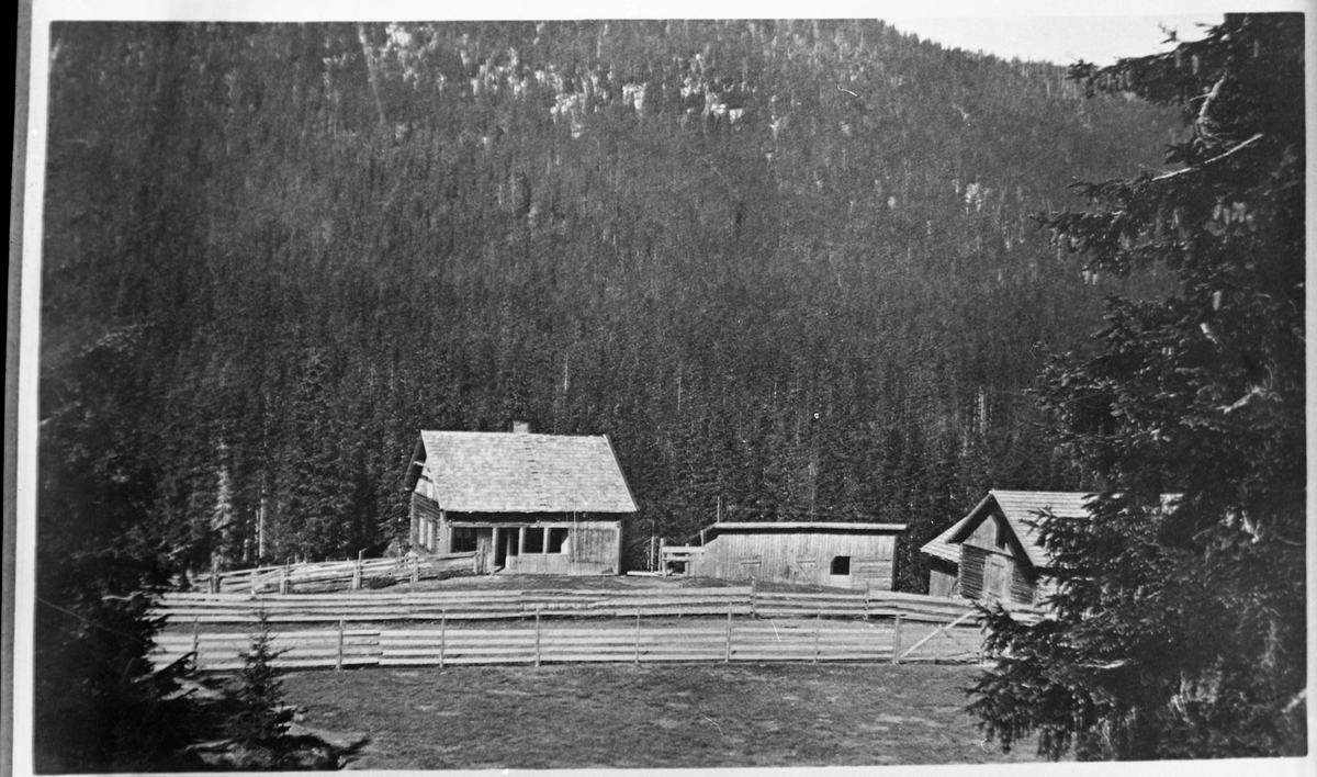 Bilde fra Nedre Torsætra på Totenåsen, trolig ca. 1920. Gjeredene ble tatt ned før vintertrafikken tok til med hest og tømmerkjøring.