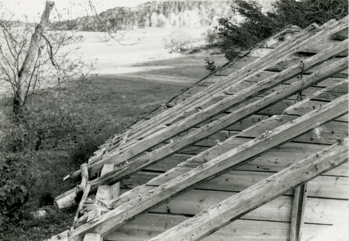 Dokumentasjonsbilder i serie av nedtakinga av Røsvikstabburet på Vigra. Stabburet står i dag i Borgundgavlen på Sunnmøre Museum.