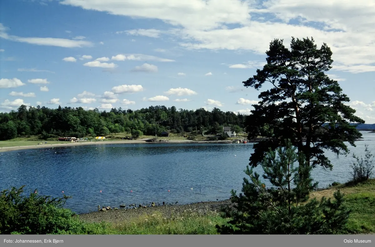 utsikt, fjord, badestrand, gresslette, friluftskafé, bolighus, skog