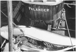 Hvalfangst ombord i Palander