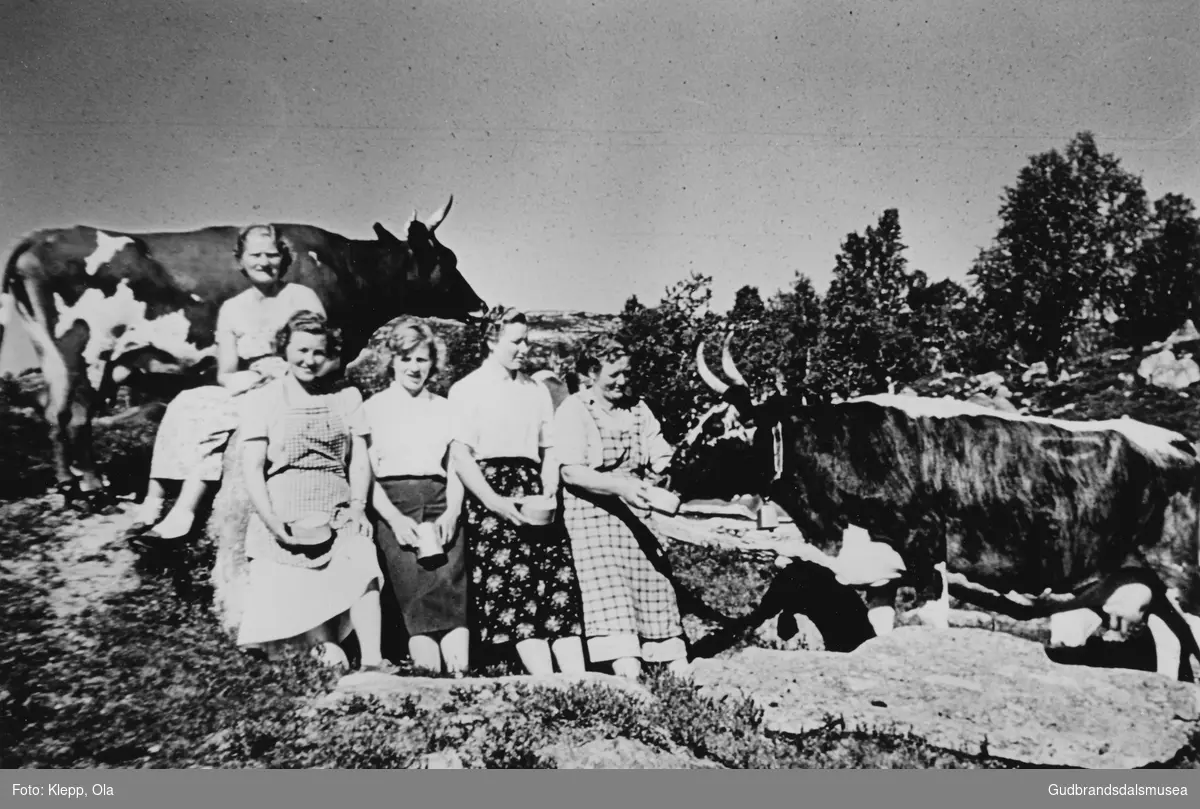 Budeier på Nysætra. 
F.v.: Ragnhild Skjelkvåle (f. 1928 g. Haugen), Malene Dagsgard (f. 1929 g. Klepp) Aslaug Haugen (f. 1939), Margrete Heggebotn (f. 1929 g. Kveum) og Hanna Skriden (f. Lykre 1909)