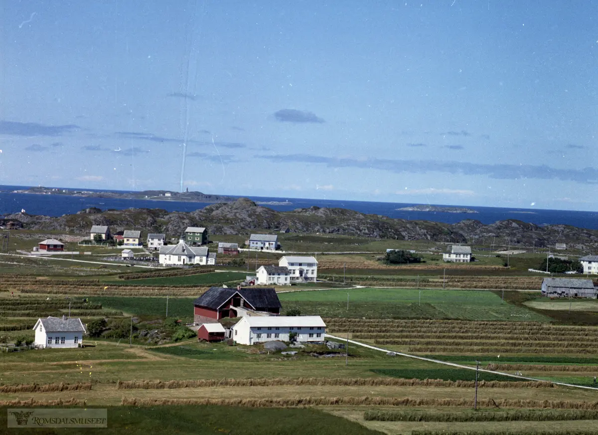 Påskhella på Sandøya