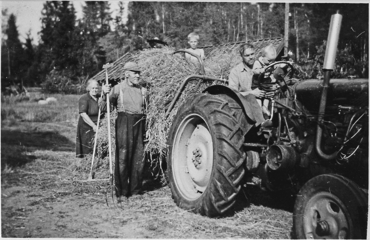 Slåtten på Vatnås sommeren 1960. Høykjøring med traktor.