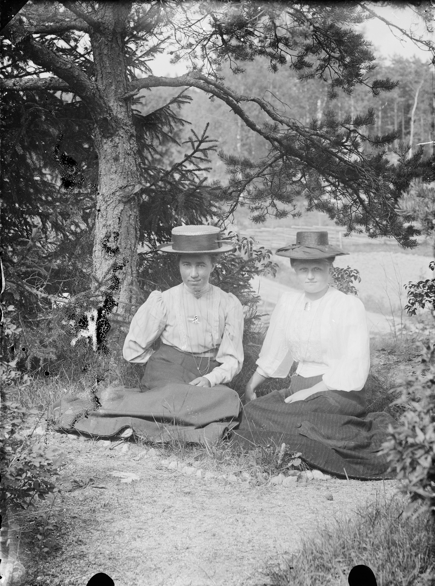 Två kvinnor sitter vid ett träd, Alunda, Uppland