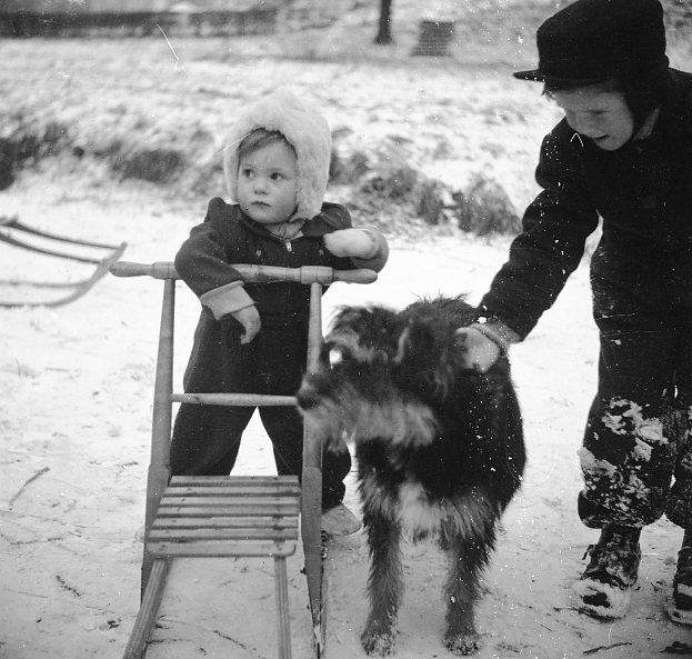 Barn (2) med en spark och en hund.