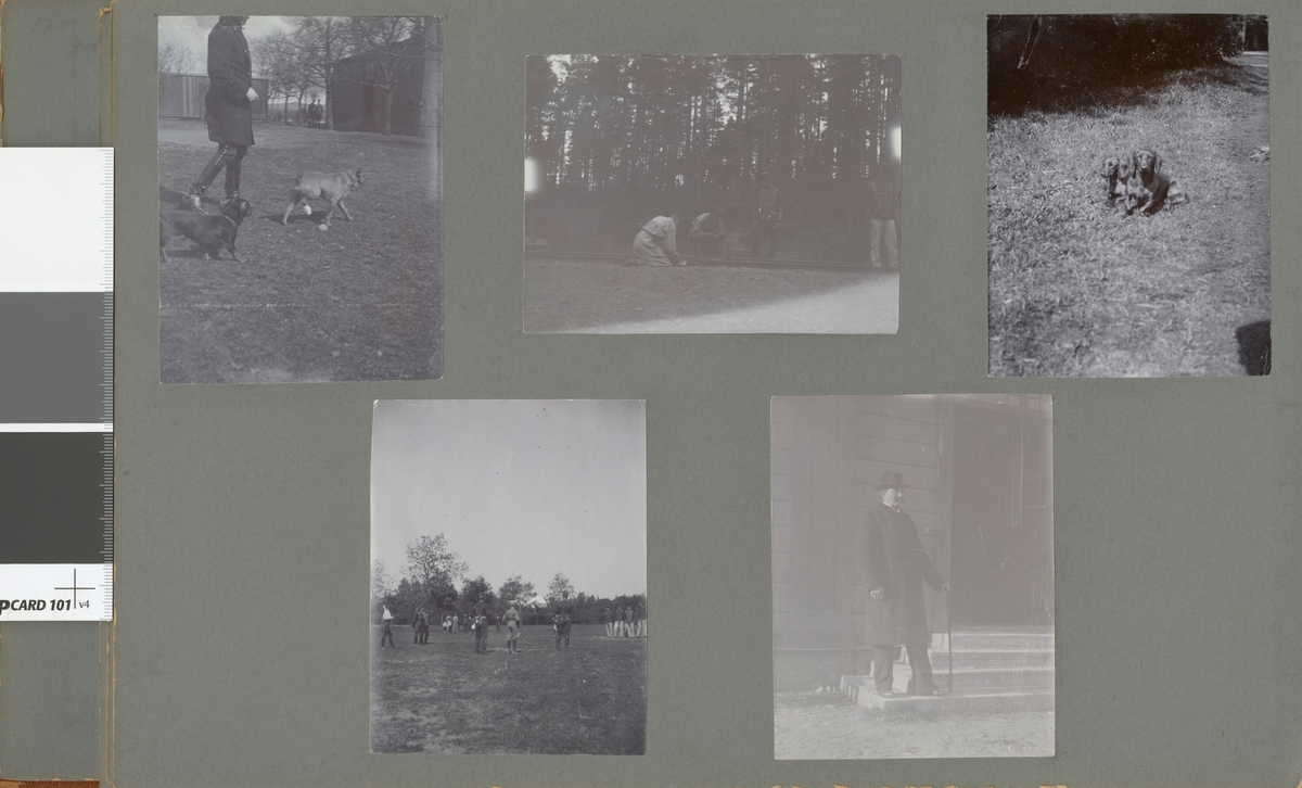 Text i fotoalbum: "Ränneslätt K 4 Kav. aspirantskola 1900". Soldat på promenad med två hundar.