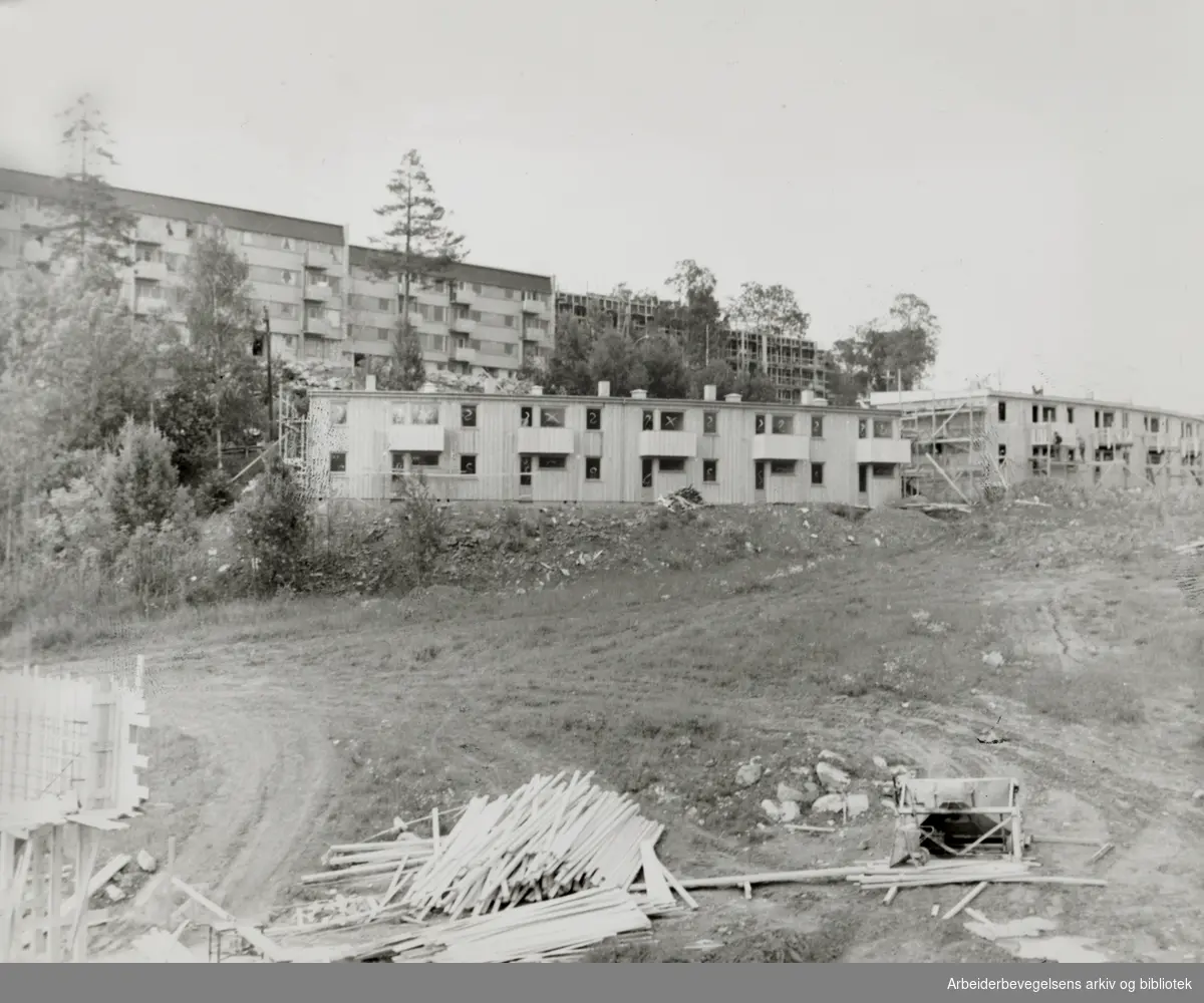 Rustad. De første flytter inn i de nye Rustadlia borettslags rekkehus i høst. April 1964