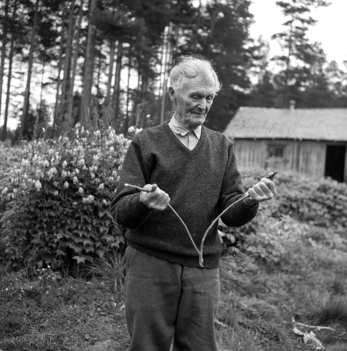 Johan Hansen (Hansa), fra Grue Finnskog med en værkvist i hendene.