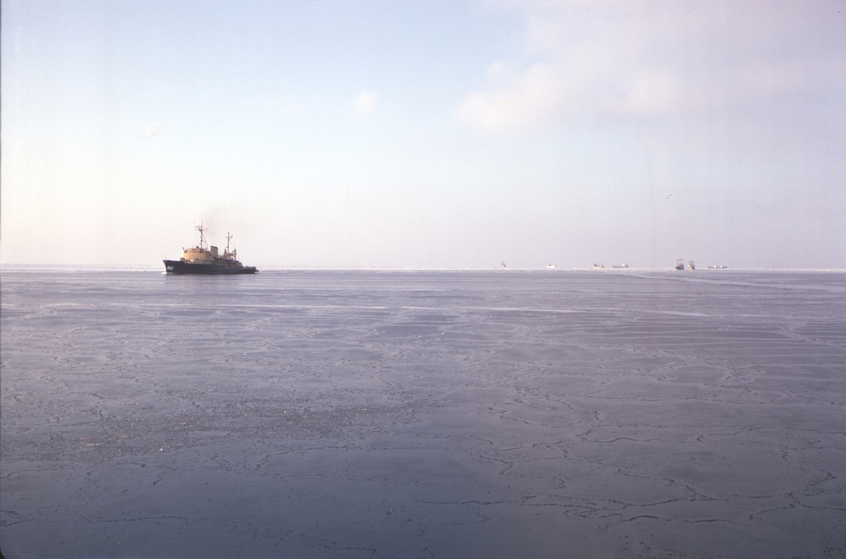 Ymer passerar isbrytaren Oden (troligen). I bakgrunden syns sju stycken olika fartyg.