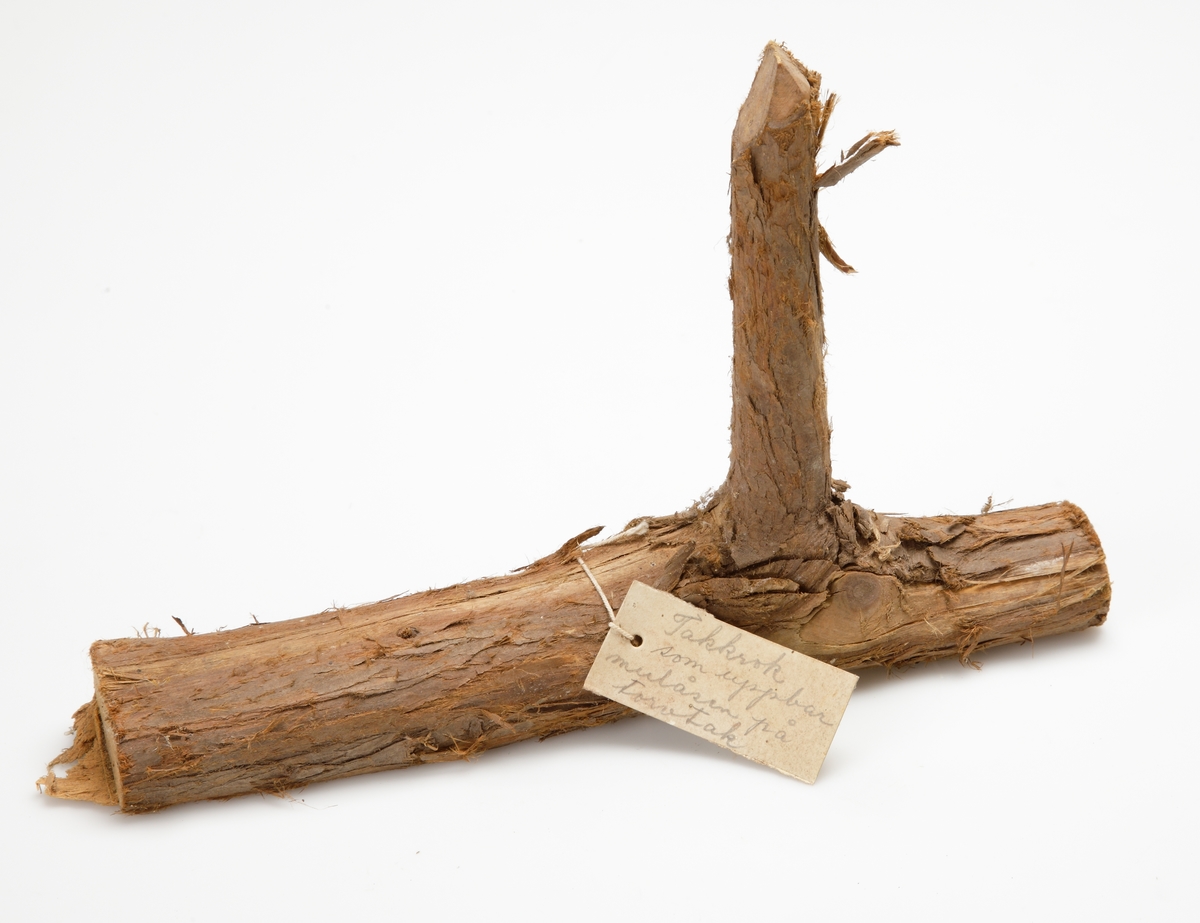 Enkel s.k. takkrok av trä, bestående av en stomme och en smalare arm vinkelrät mot denna.