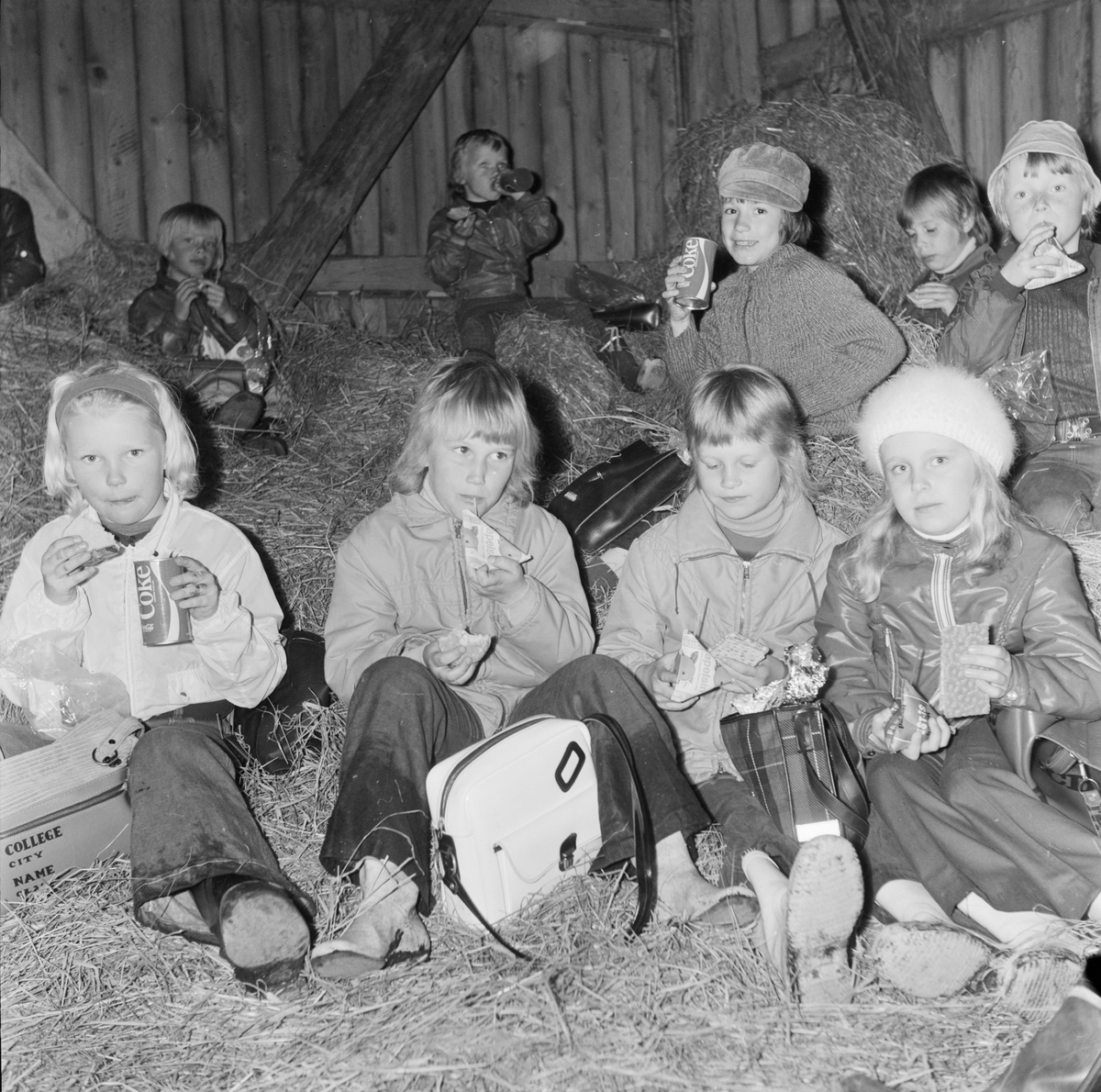 Elever på höskulle, Söderfors, Uppland, juni 1972