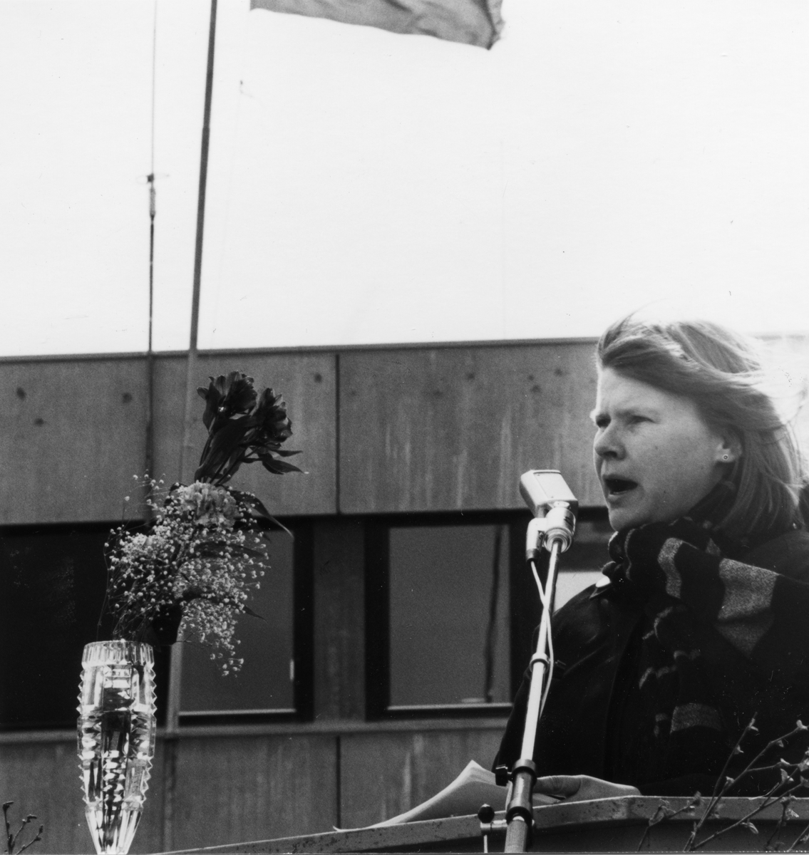 1.mai Tynset 1981. Marit Glomm taler.