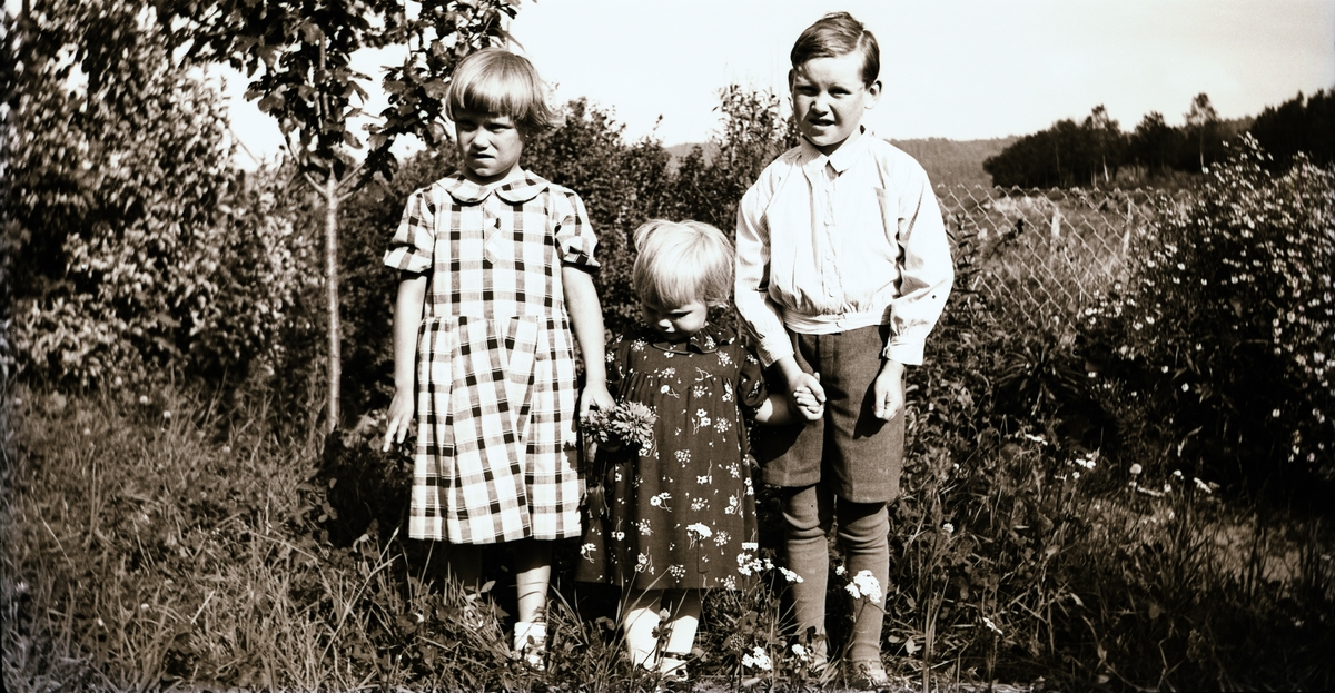 Tre barn i blommande sommarträdgård. Det är syskonen Larsson i Albäck; från vänster Margit, Karin som håller en blombukett och Gunnar.