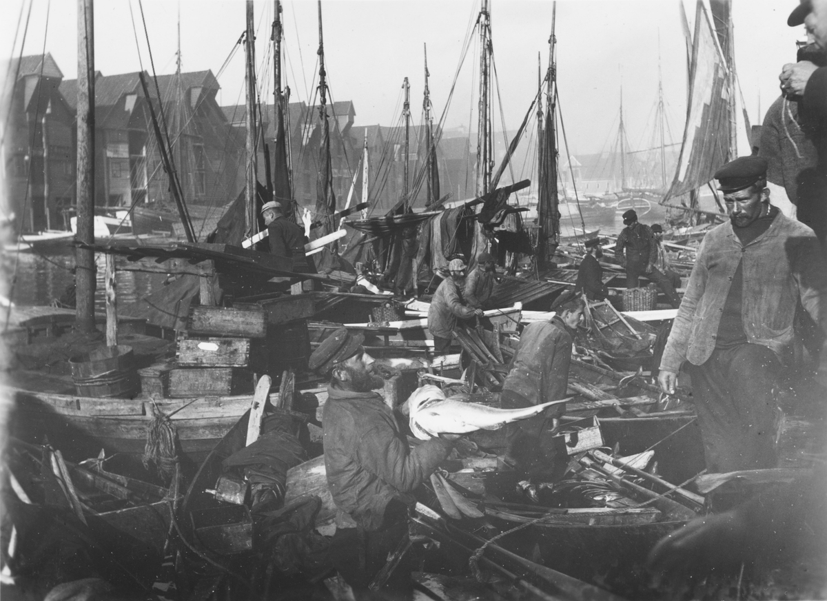 Bergen. Fra Fisketorget, før brannen i 1916.