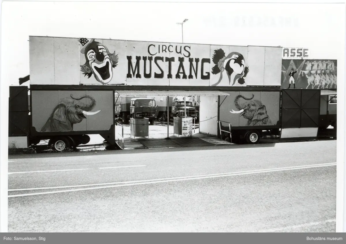 "Cirkus Mustang"