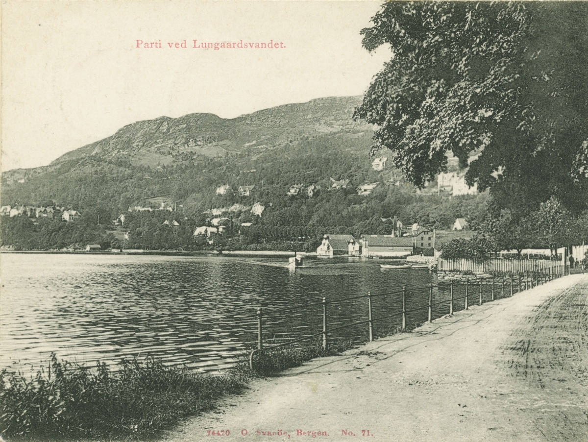 Bergen. Ved Store Lungegårdsvann, før 1903. Utgiver: O. Svanøe.