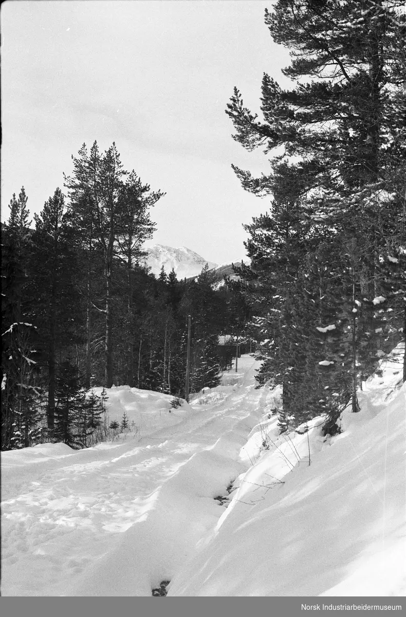 Spor i snøen i Breisetdalen.