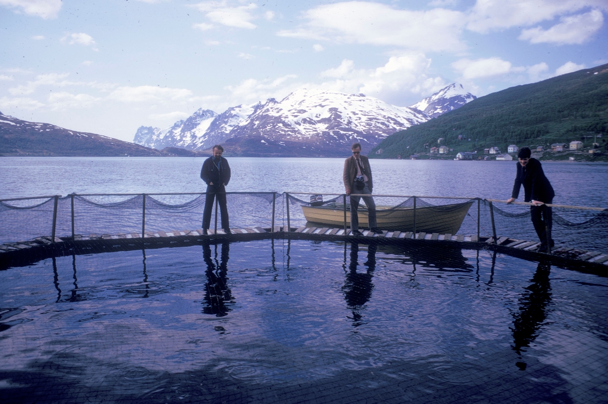 Tre menn står på en merde og en båt ligger fortøyd bak dem. Helt til venstre står Einar Brun fra universitetet i Tromsø. Noe bebyggelse i bakgrunnen.