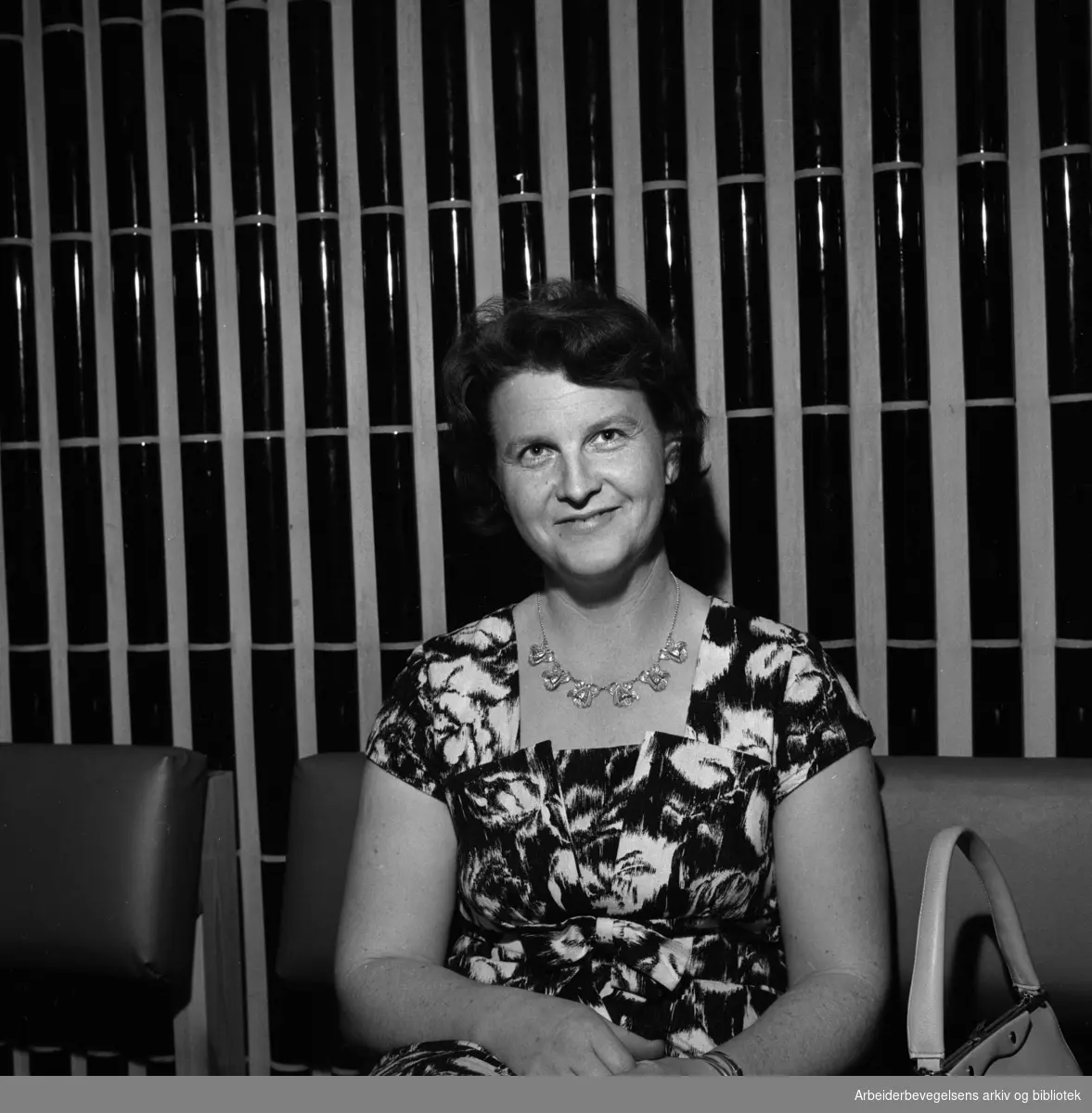 Sonja Ludvigsen (1928-1974), Arbeiderpartiet politiker, sosialminister 1973-1974, leder for Arbeiderpartiets kvinnesekretariat i 1967-1974.