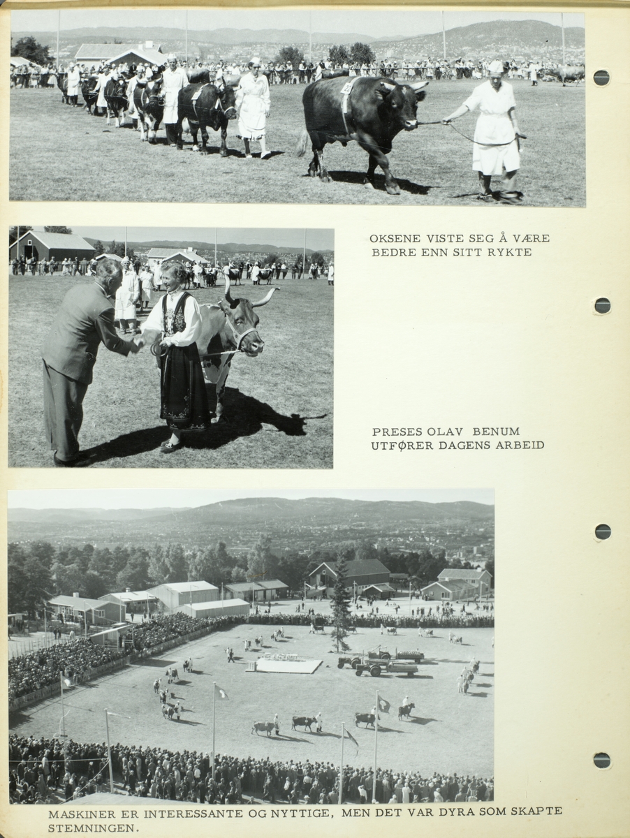 Pulikum på husdyrutstilling på landbrukets jubileumsutstilling i 1959