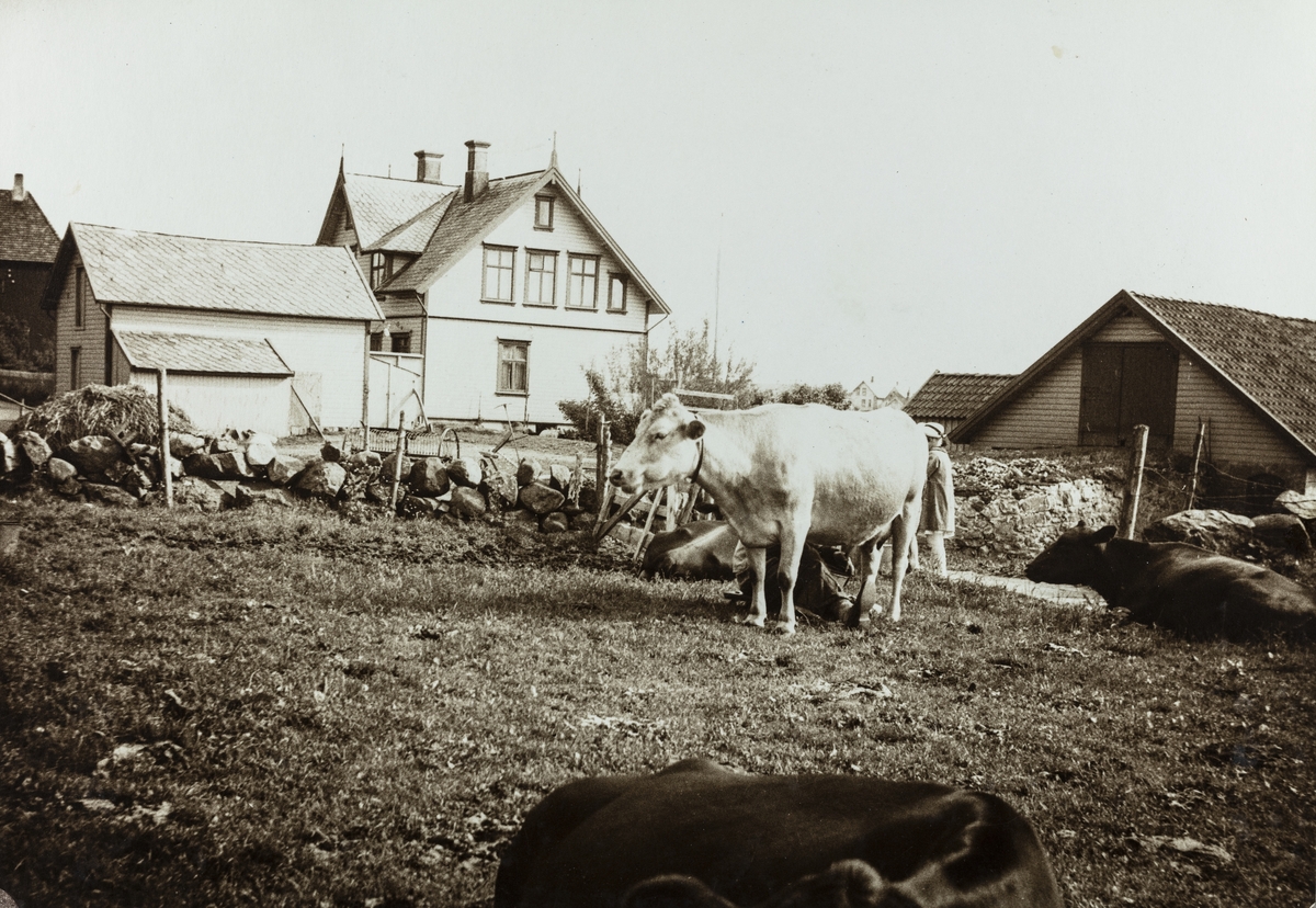 Parti fra Sørhaug sett mot sydvest, ca. 1938.