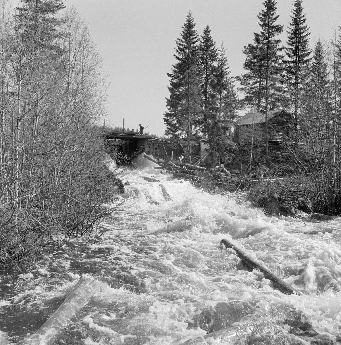 Lukedam. Tømmer i elvefaret nedstrøms dammen. Fløtingsdam i Fallåa, Romedal, Stange, Hedmark.