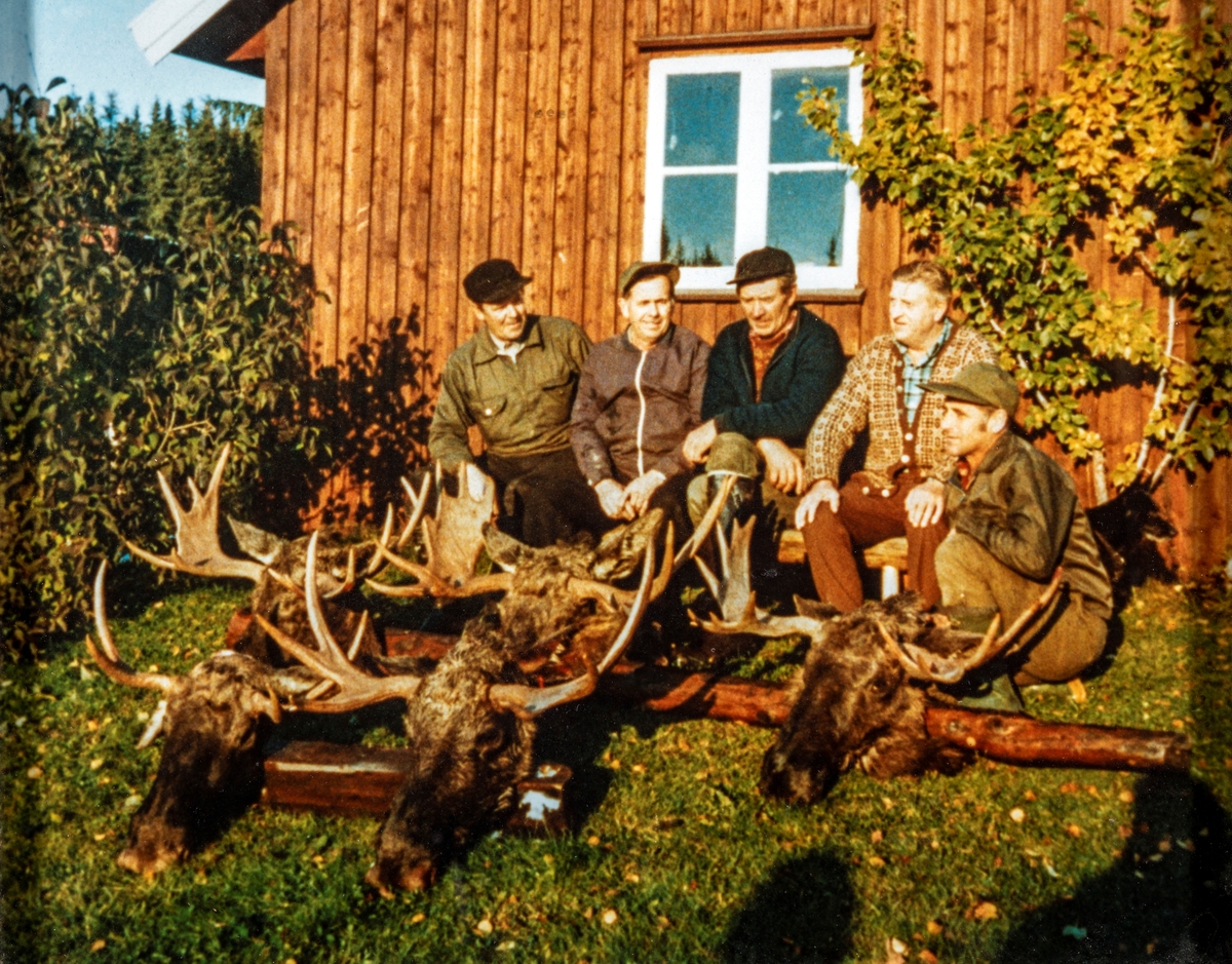 Gruppe 5 elgjegerer, Jeger. Elgjakt i Furnes Almenning.
Fem jegerne fra 1975 som ser ut til å være fornøyd med jaktutbyttet I Elvstusag-terrenget. De har felt fem okser med en gjennomsnittsvekt på hele 254 kg. Fra v: Leder av jaktlaget Kåre Brenden, Birger Larsen, Ragnar Bakken, Anders Heggelund og Kjell Jevne.