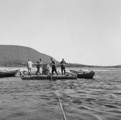 Spillflåten som ble brukt under buksering av tømmer på Nordr