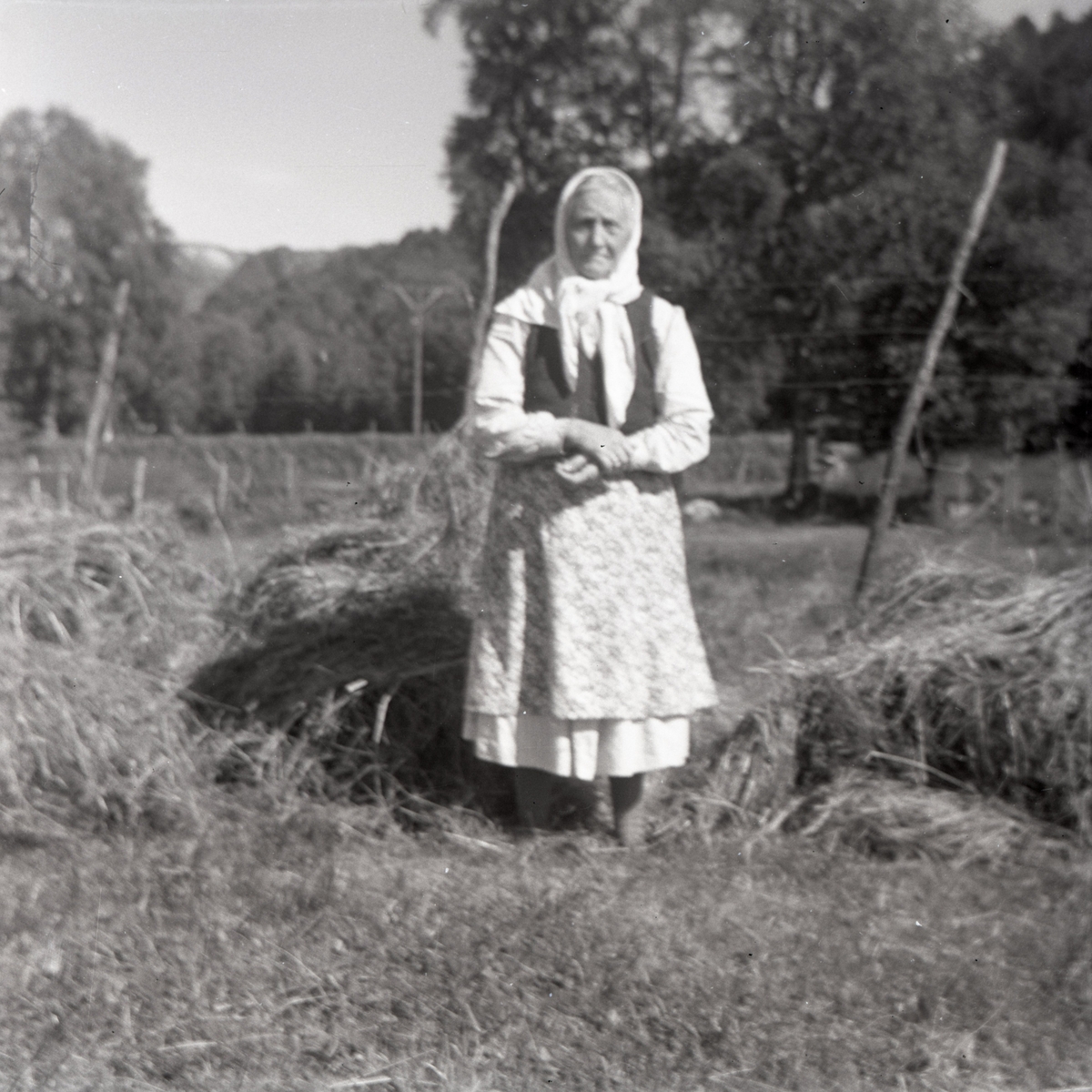 Portrettfotografi av ei eldre kvinne som står på ei mark der det drives slåttonn.