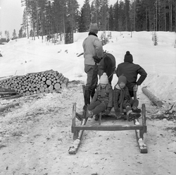 Tømmerkjøring med rede hos Per O. Løberg (1912-1987) og sønn