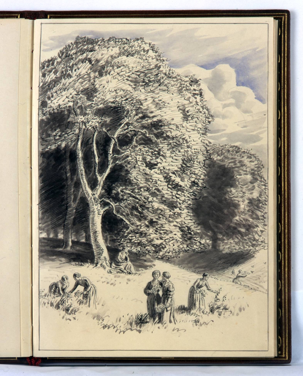 Adresse innbundet i brunt skinn med preget dekor i olivengrønt og rødt. Rød tvinnet snor i ryggen med dusker. På innsiden grønn silke med gullborder og broderte blomster.