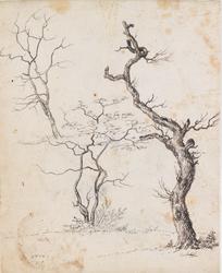 Trestudier [Tegning]