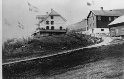 Aulestad, allé, drengestua, repro,