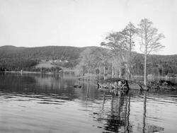 Landskap. Vann. Skog. Grimsrud gård ved Randsfjorden,