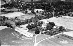 35515 Lysgaard pr Lillehammer. Widerøe