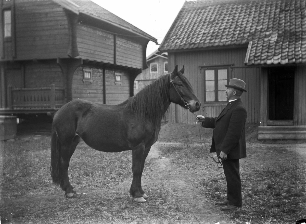Mann og hest foran stabbur