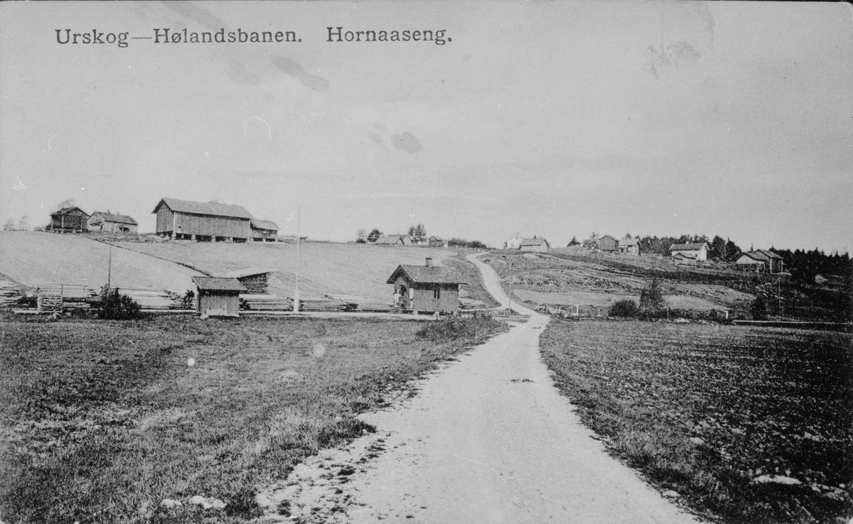Hornåseng stasjon