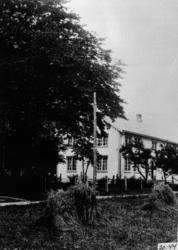 Utigard i Eikesdal. Bjørnson-almen med stuebygninger på bnr.