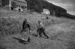 "juli 1964. Reiten".