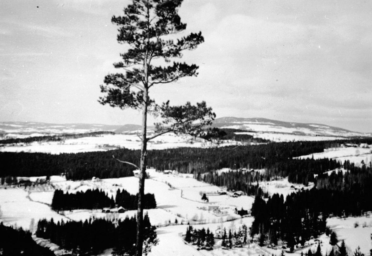 Ringsaker, Furnes, Jessnes, utsikt fra hoppbakken "Tyskeren" i Furuberget, vinterlandskap,