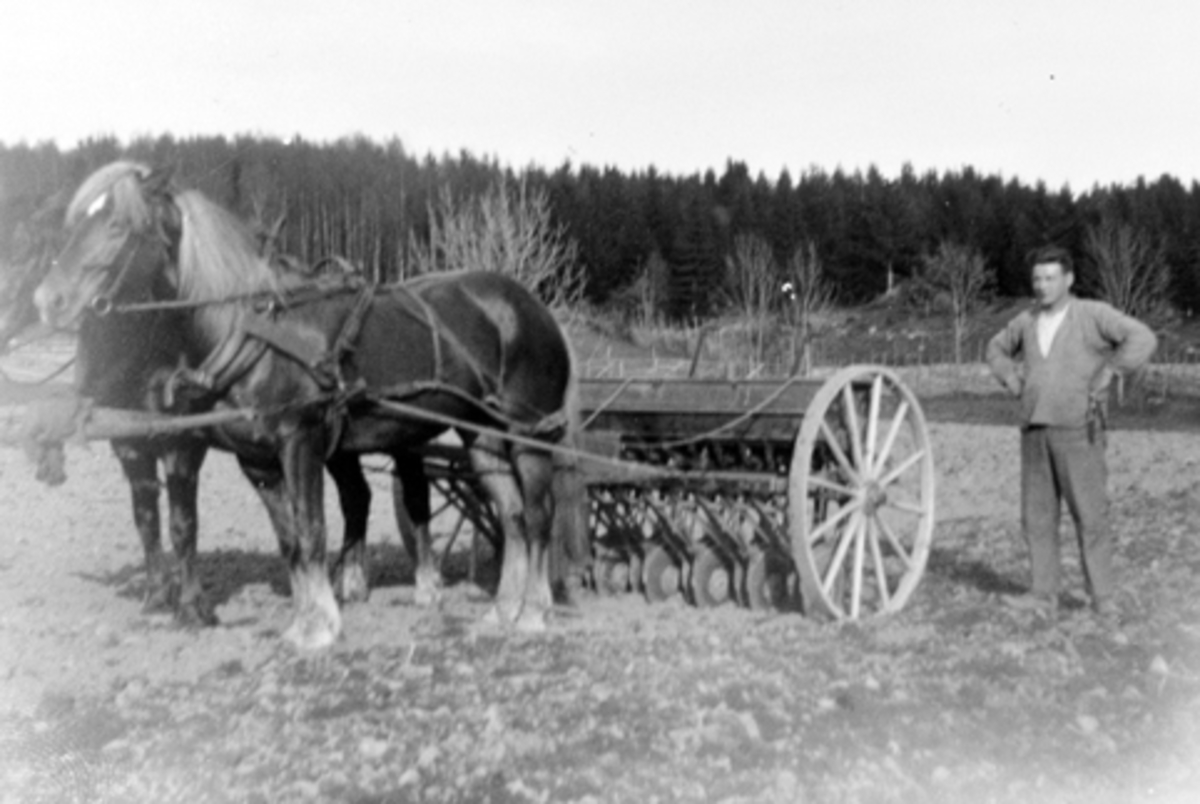 Våronn på Mørkved store, Furnes, Ringsaker i 1927. Peter Skyberg ved siden av såmaskina på låvejordet. Hester i tospann.