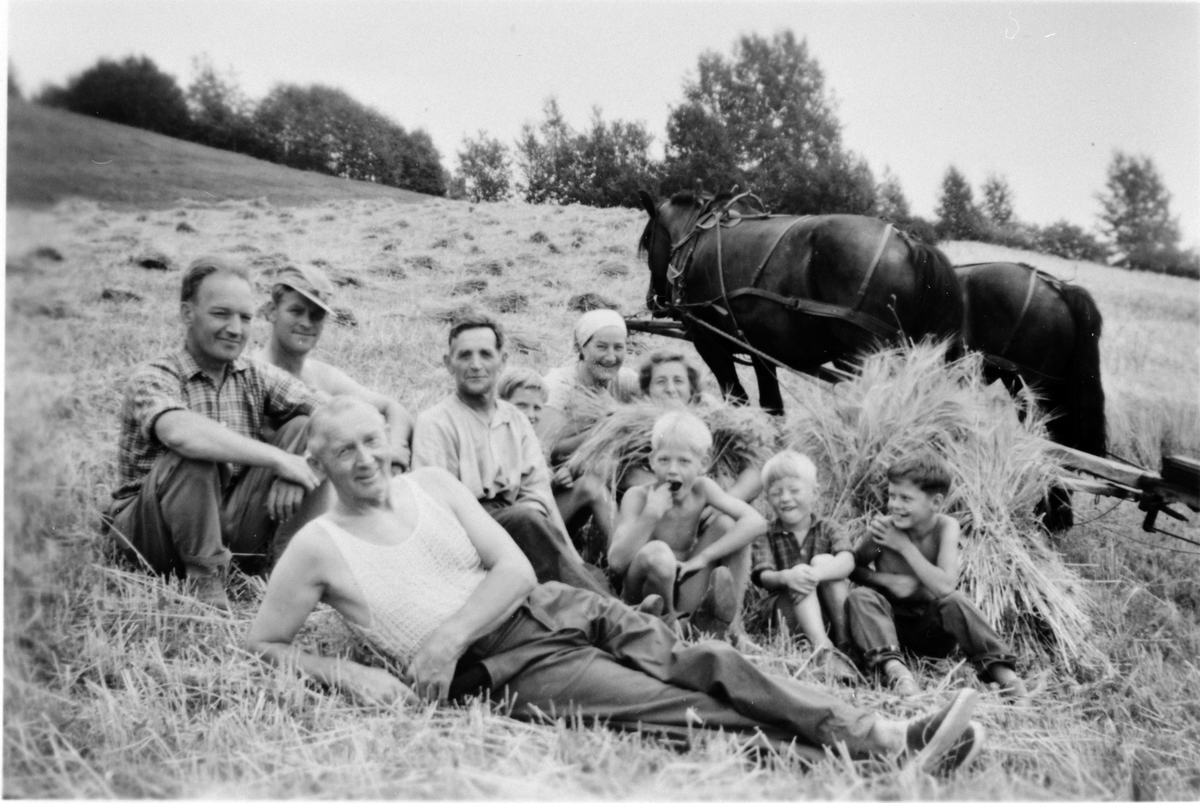 Skuronn på Hovelsrud, Nes, Hedmark. Pust i bakken. Foran er Erik Lien (1914-1999). Til venstre er Mons Kongsrud (1911-1974). Damene bak er Margit Lien f.1920 og Målfrid Lien f.1924.