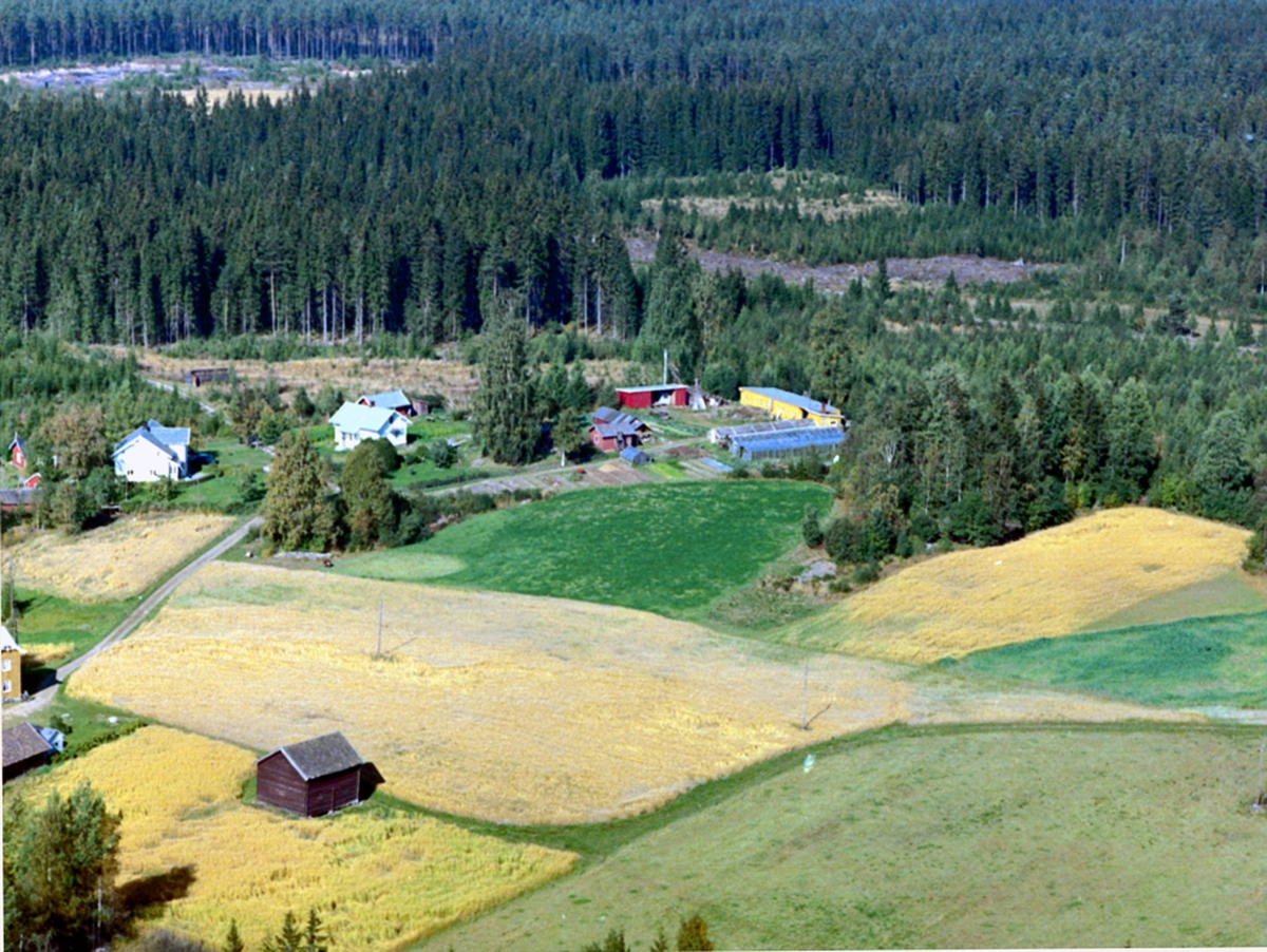 Flyfoto, Herdal gartneri, Løten.
