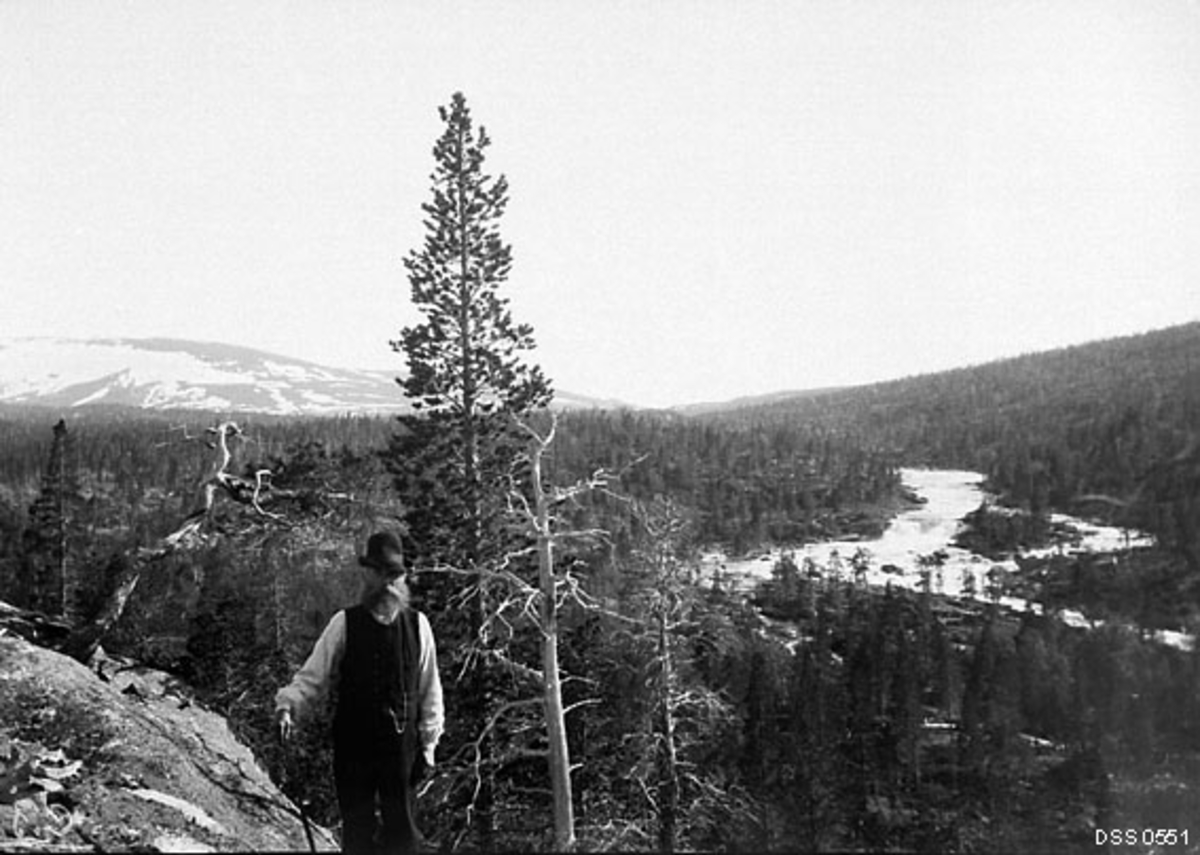 Fra Lønsdalen i Saltdal statsskoger slik landskapet her framsto tidlig på 1900-tallet.  Fotografiet er tatt fra en fjellknaus.  I forgrunnen sto en mann, kledd i mørke bukser, mørk vest, kvit skjorte og svart hatt, sannsynligvis en lokal skogfunksjonær.  På den nevnte fjellknausen sto det en del tørre furutrær da fotografiet ble tatt.  I bakgrunnen ser vi hvordan Lønselva (Luonosjåhkå) renner kvitskummende gjennom et bergrikt landskap, omgitt av furuskog (antakelig den såkalte Erik-Larsa-moen).  I bakgrunnen til venstre ser vi en fjellrygg med snøflekker.  Dette er Dypenfjellet, hvor toppunktet rager 1 178 meter over havet.