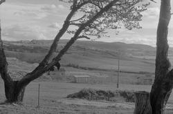 Partier fra Lerkendal