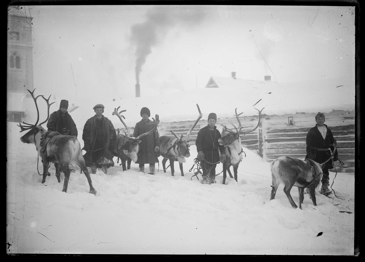 Reinsdyr og samiske menn på Røros
