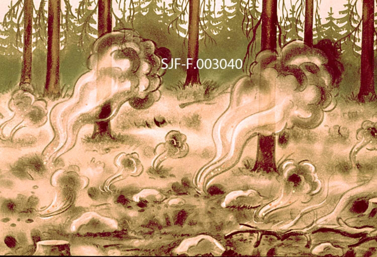 Tegning som antyder hvordan en skogbrann kan fortsette som jordbrann etter at markvegetasjonen er avsvidd.  Illustrasjonen viser hvordan røyk fra underjordisk varme slår opp flekkvis bortover på den skogbrannherjete skogsmarka.  Trestammene i forgrunnen har hengekvist som er preget av brannen, men står fortsatt fint. I bakgrunnen skimter vi et unggranbestand som lager til å ha kommet godt fra brannen. 

I tekstheftet til bildeband nr. 1161 – «Skogbrannslokking II: Slokkingsmetoder» – har Birger Strømsøe, som var fagkonsulent for denne serien, skrevet følgende tekst om dette motivet:

«11.  JORDBRANN
Etter skogbrann på råhumusmarker eller på avgrøftede myrer kan det lett oppstå jordbrann hvis ikke etterslokkingen er unnagjort innen et par døgn etter brannen.  Jordbrannen sprer seg delvis under overflaten, og det kreved mye graving og store mengder med vann eller mineraljord for å få den slokket.  Jordbrannen utvikler dessuten en sur og giftig røyk som bidrar til å forverre slokkingen.  Alt i alt kan jordbrann lett føre til at slokkingsutgiftene mangedobles etter en skogbrann.  Derfor bør en alltid satse på en rask og effektiv etterslokking slik at jordbrann kan unngås.»