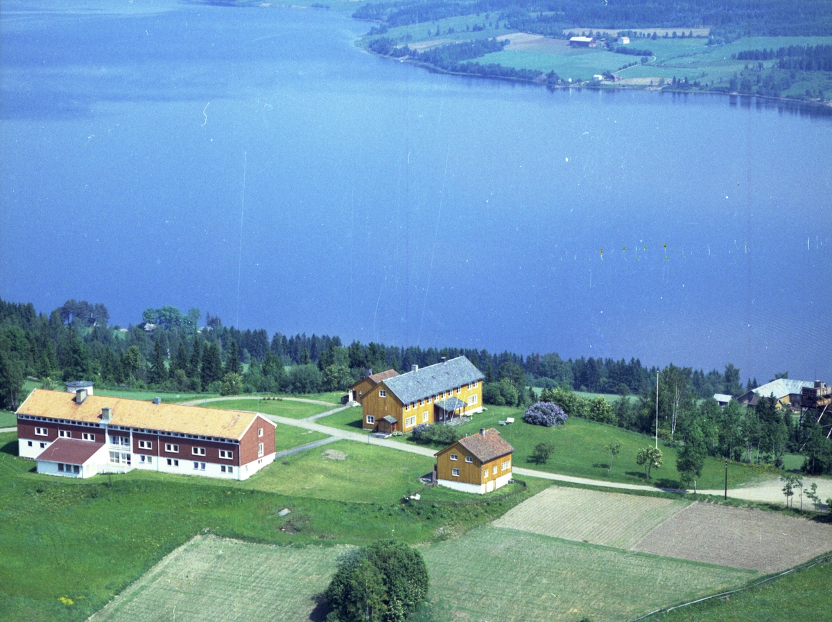 Tranberg mot Mjøsa,Gjøvik år 1961
Flyfoto Widerøe