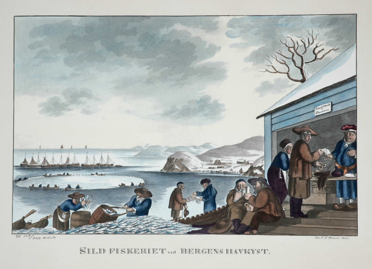 Prospekt, sildefiskere ved Bergen. Fiskeriscener med sild, tønner, handel, notbruk, båter.