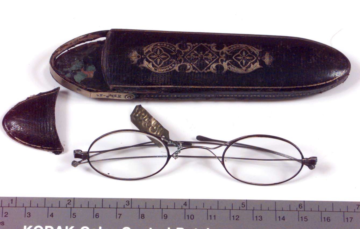 Briller, med brillehus